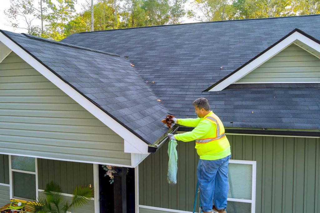 Gutter Cleaning