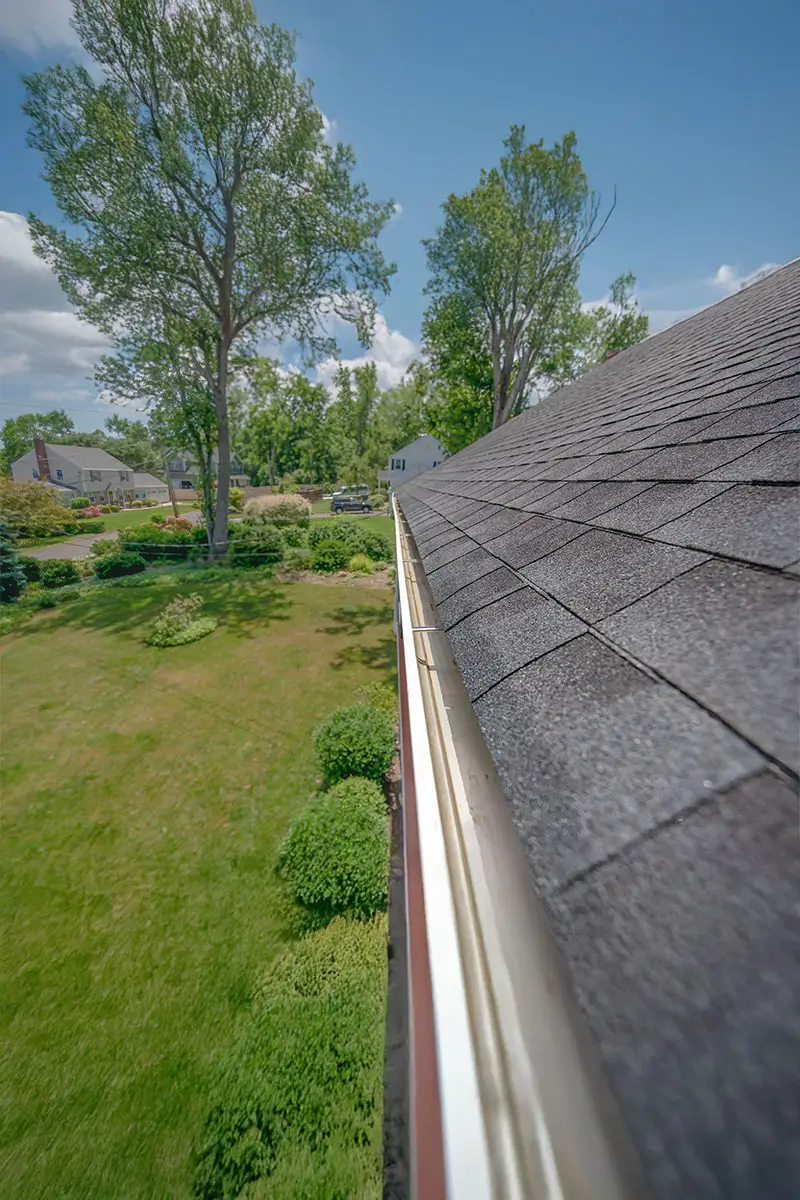 Cleaned gutters early spring that had not been cleaned last fall.